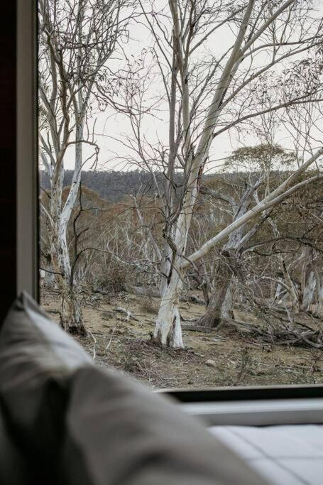 Big Yard Escapes - Two Off-Grid Tiny Houses On The Mowamba River Джиндабайн Экстерьер фото